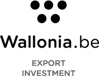 Wallonië-Export-Investering-0
