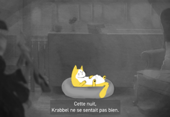 Sensibilisation bien-être animal chat